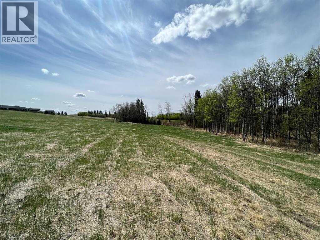 143 Wolf Run Drive, Rural Ponoka County, Alberta  T4J 1R3 - Photo 5 - A2259190