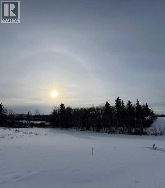 143 Wolf Run Drive, Rural Ponoka County, Alberta  T4J 1R3 - Photo 1 - A2259190