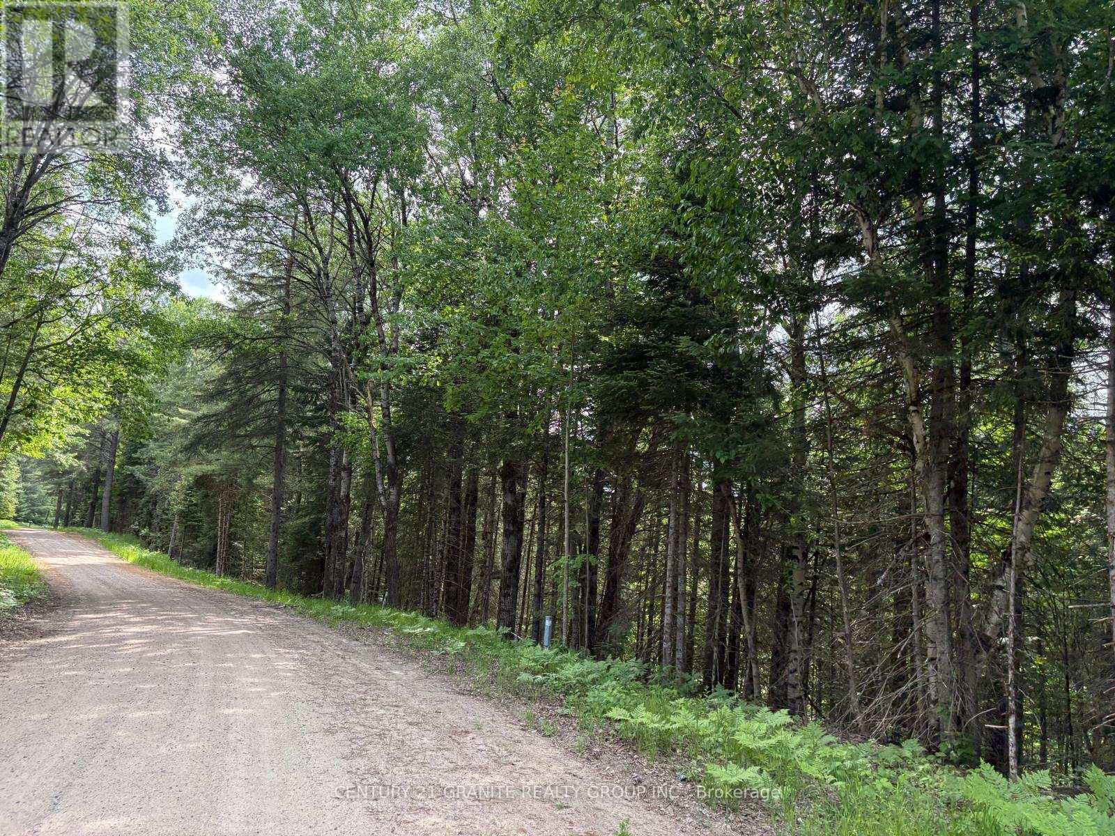 0 Thibadeau Road, Bancroft, Ontario  K0L 1C0 - Photo 3 - X12555320