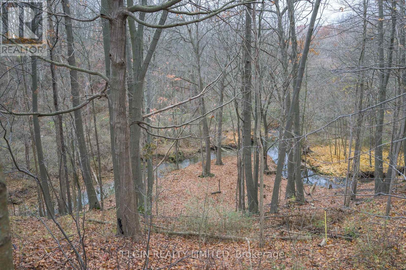 2 Oak Street, St. Thomas, Ontario  N5R 1R4 - Photo 28 - X12555188