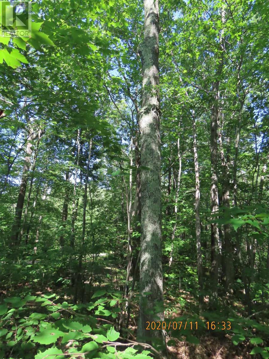 LOtS 17-20 S and T Line RD, Hilton Twp St Joseph Island, Ontario