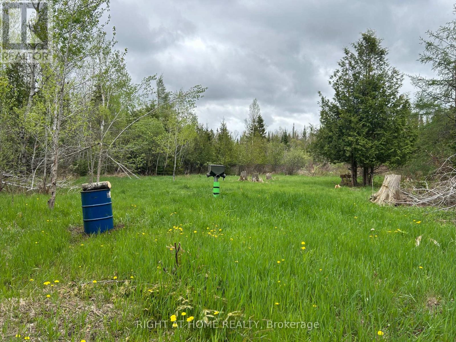 0 MOUNT HOREB ROAD, Kawartha Lakes, Ontario