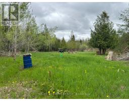 0 MOUNT HOREB ROAD, Kawartha Lakes, Ontario