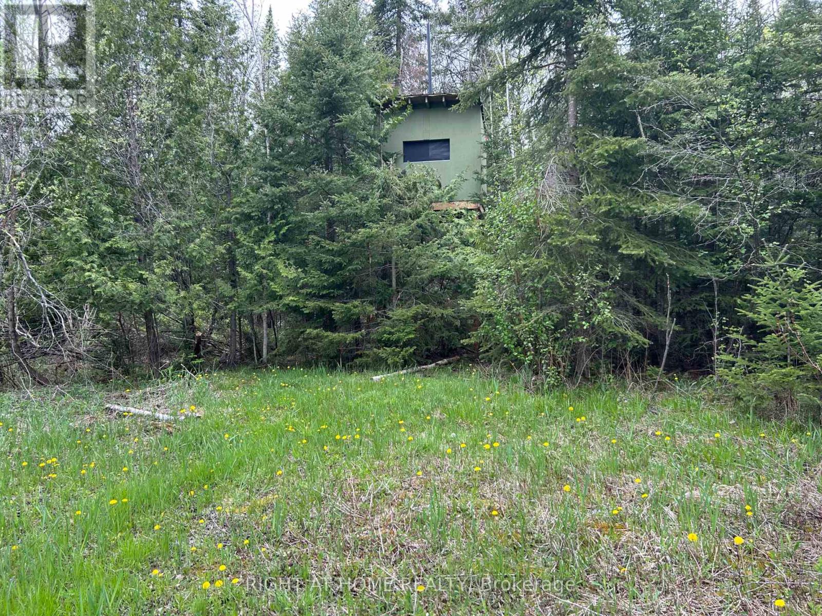 0 Mount Horeb Road, Kawartha Lakes, Ontario  K0L 2K0 - Photo 8 - X12159937