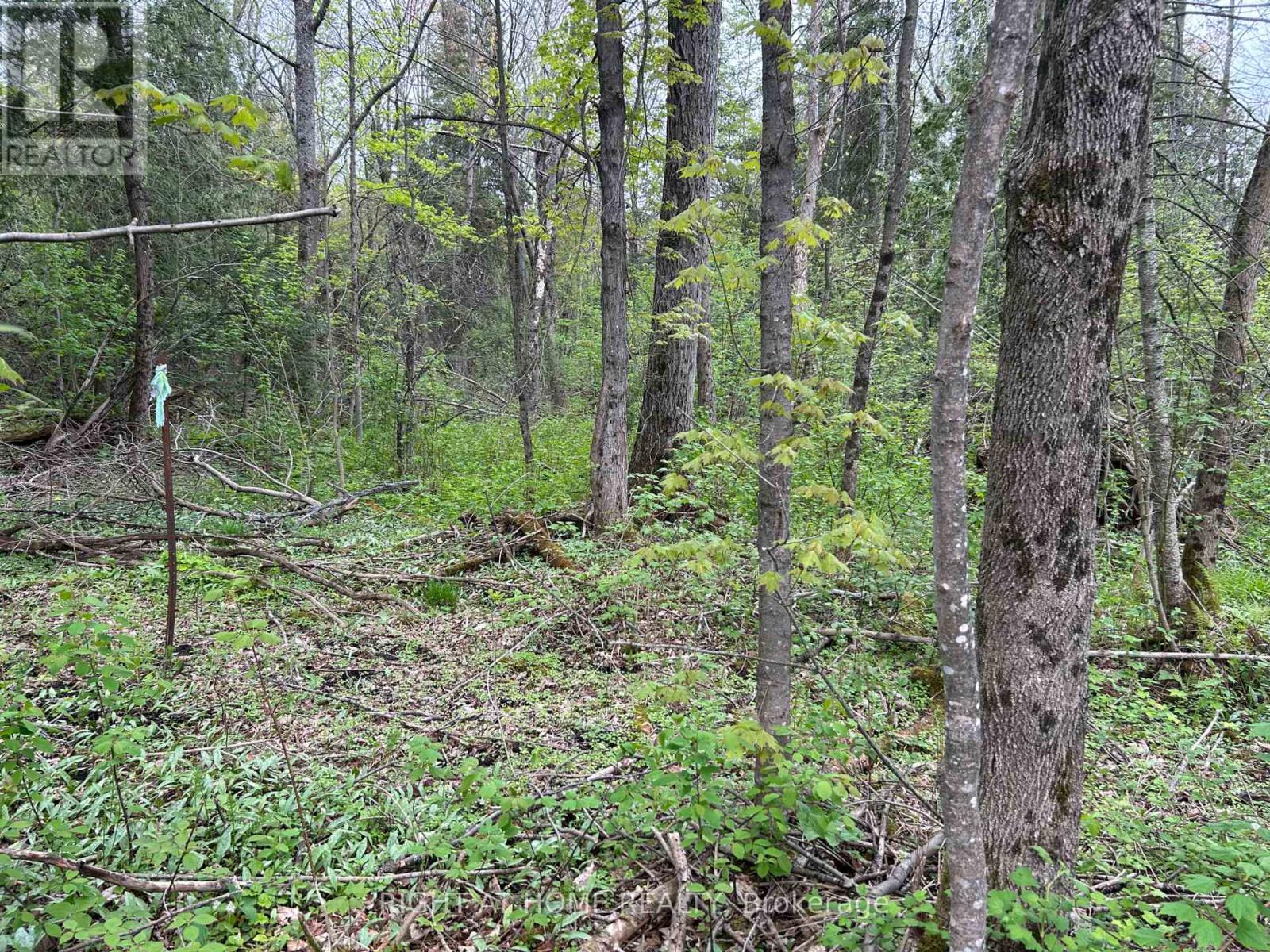 0 Mount Horeb Road, Kawartha Lakes, Ontario  K0L 2K0 - Photo 5 - X12159937