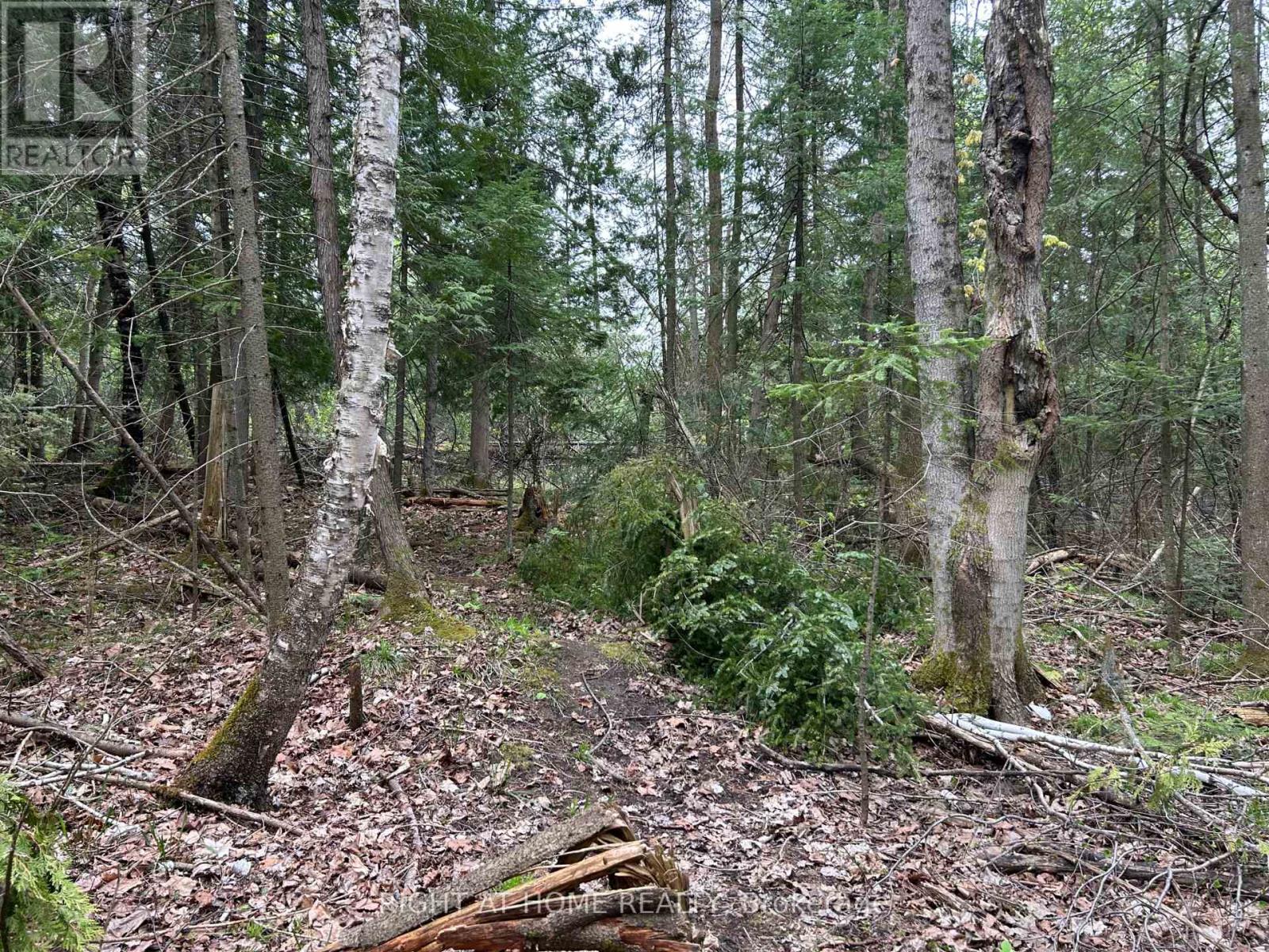 0 Mount Horeb Road, Kawartha Lakes, Ontario  K0L 2K0 - Photo 7 - X12159937