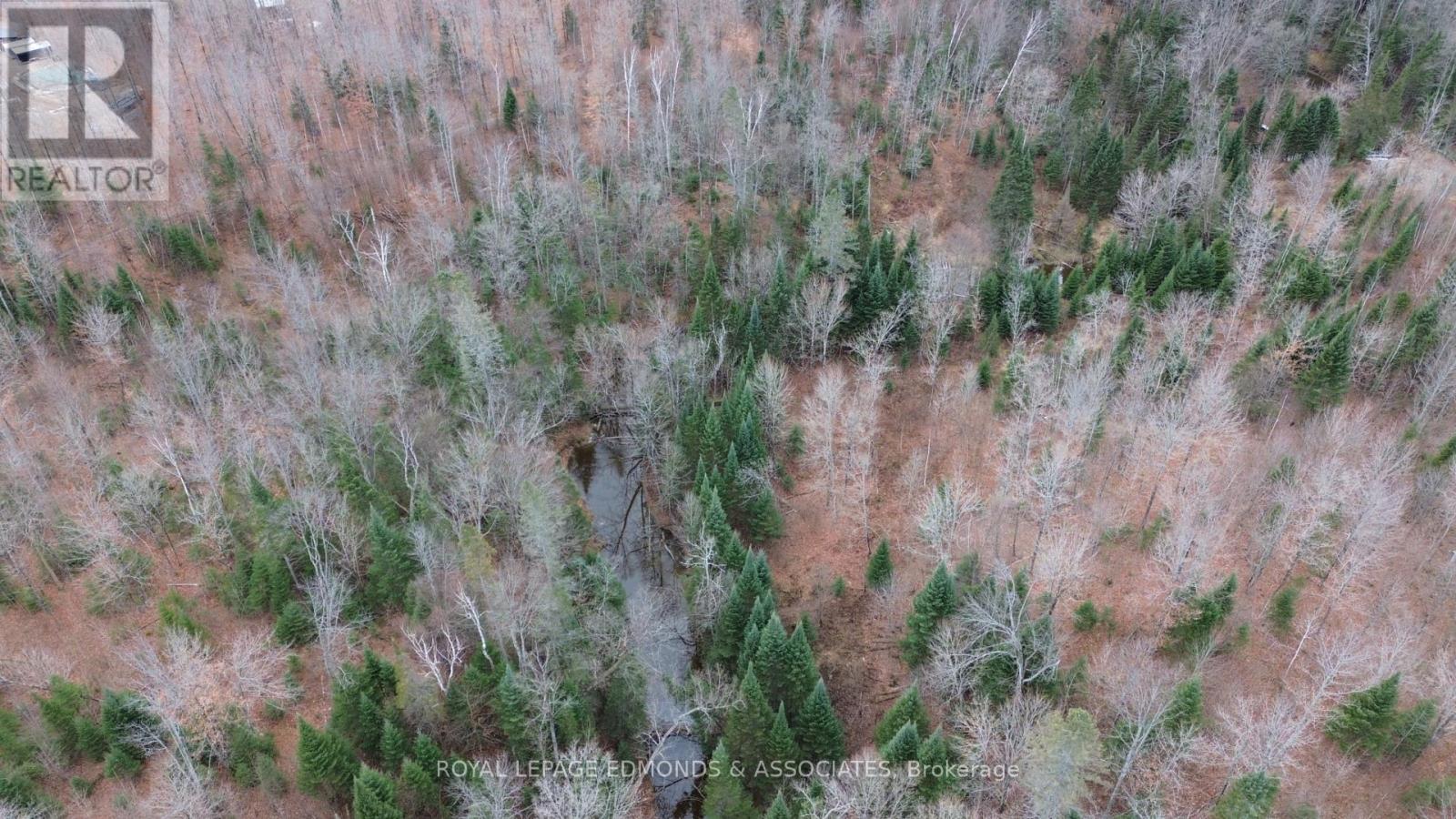 710 Westmeath Road, Whitewater Region, Ontario K8A 6W2 - Photo 11 - X12538522