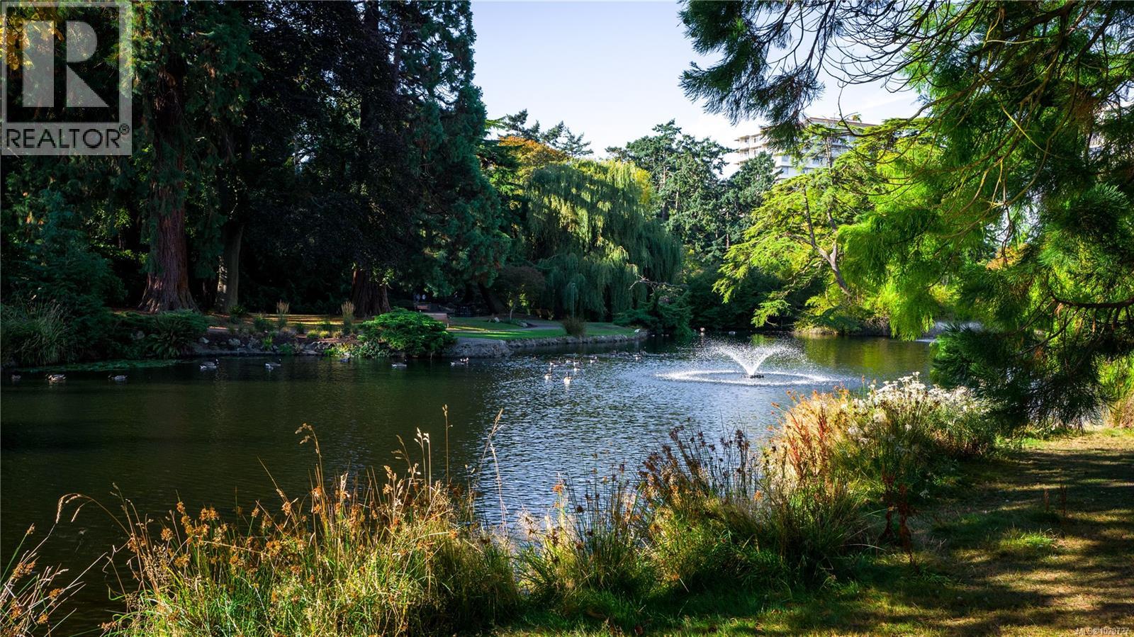 1124 Dallas Rd, Victoria, British Columbia V8V 1B9 - Photo 54 - 1020727