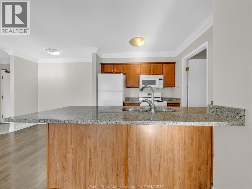 5000 Wyandotte Unit# 404, Windsor, Ontario N8Y 5B8 - Photo 13 - 25029068