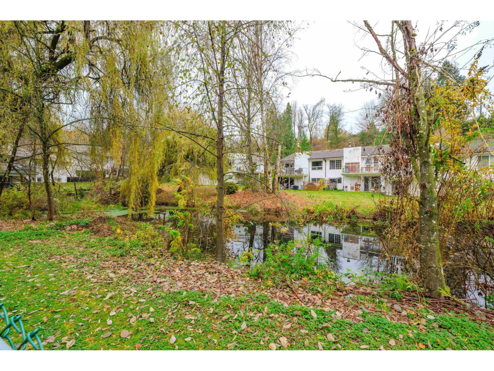 43 34250 Hazelwood Avenue, Abbotsford, British Columbia  V2S 7L4 - Photo 31 - R3067961