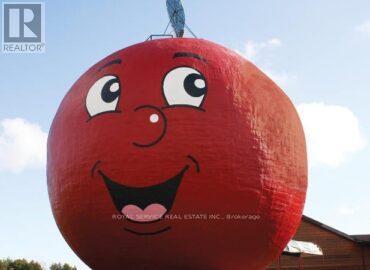 25 King Street W, Cramahe (Colborne), Ontario  K0K 1S0 - Photo 38 - X12460259