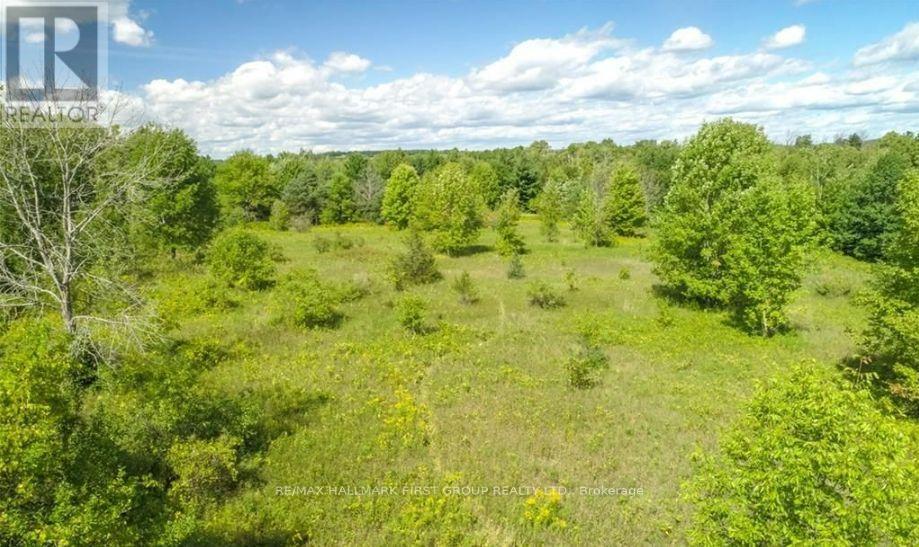 0 Trenear Road N, Cramahe, Ontario  K0K 1S0 - Photo 12 - X12555574