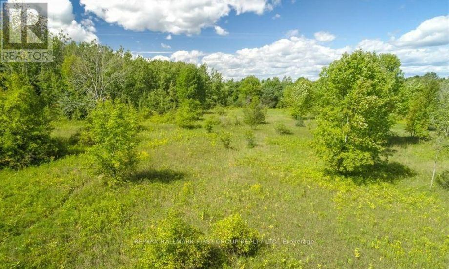 0 Trenear Road N, Cramahe, Ontario  K0K 1S0 - Photo 13 - X12555574