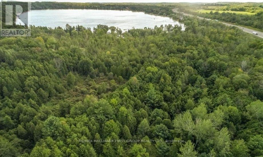 0 Trenear Road N, Cramahe, Ontario  K0K 1S0 - Photo 8 - X12555574