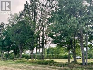 0 Kitley Line 8 Road, Elizabethtown-Kitley, Ontario  K0E 1H0 - Photo 17 - X12555754