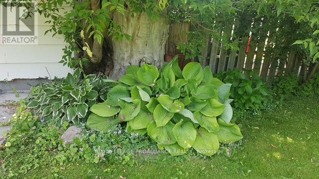 410 Dublin Street, Peterborough, Ontario  K9H 3C9 - Photo 39 - X12517246