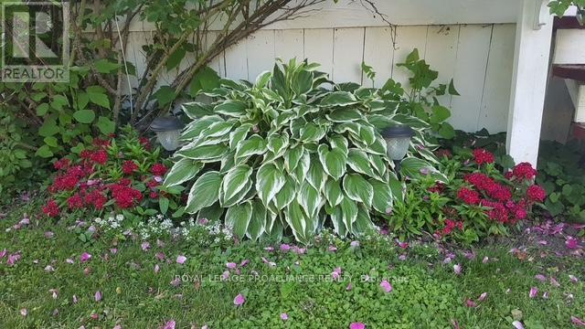 410 Dublin Street, Peterborough, Ontario  K9H 3C9 - Photo 5 - X12517246