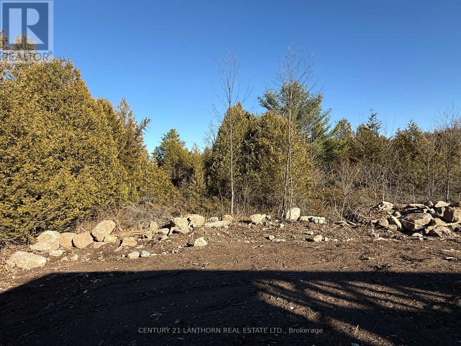 967 Crookston Road, Centre Hastings, Ontario  K0K 2K0 - Photo 9 - X12386882