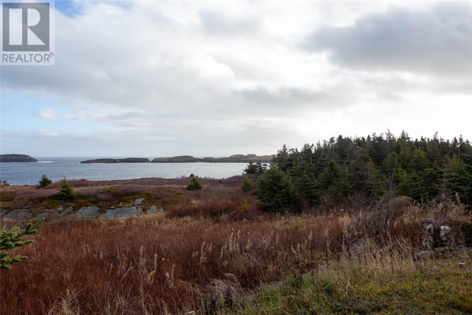 20 Old Road, Elliston, Newfoundland & Labrador  A0C 1N0 - Photo 10 - 1292715