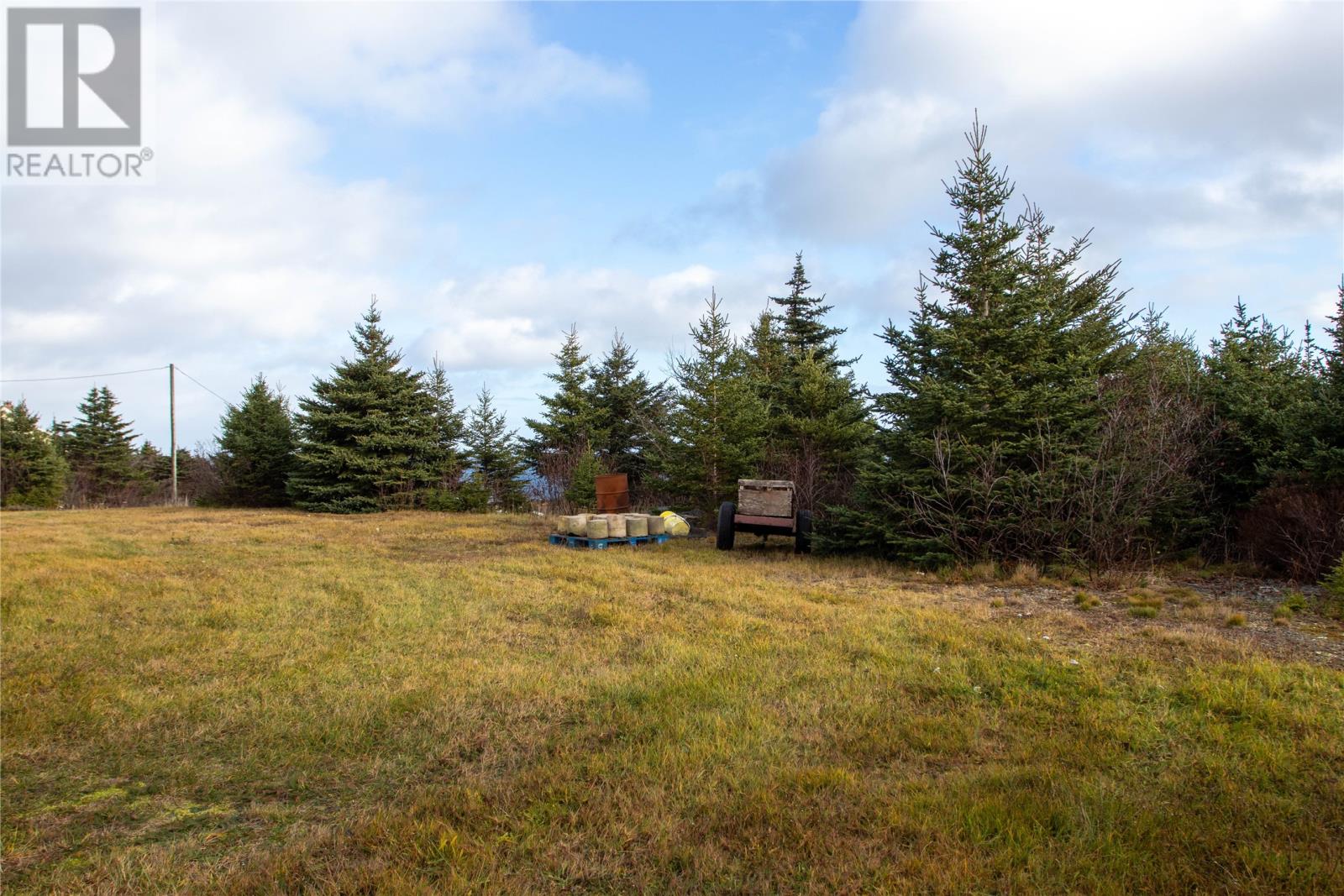 20 Old Road, Elliston, Newfoundland & Labrador  A0C 1N0 - Photo 27 - 1292715