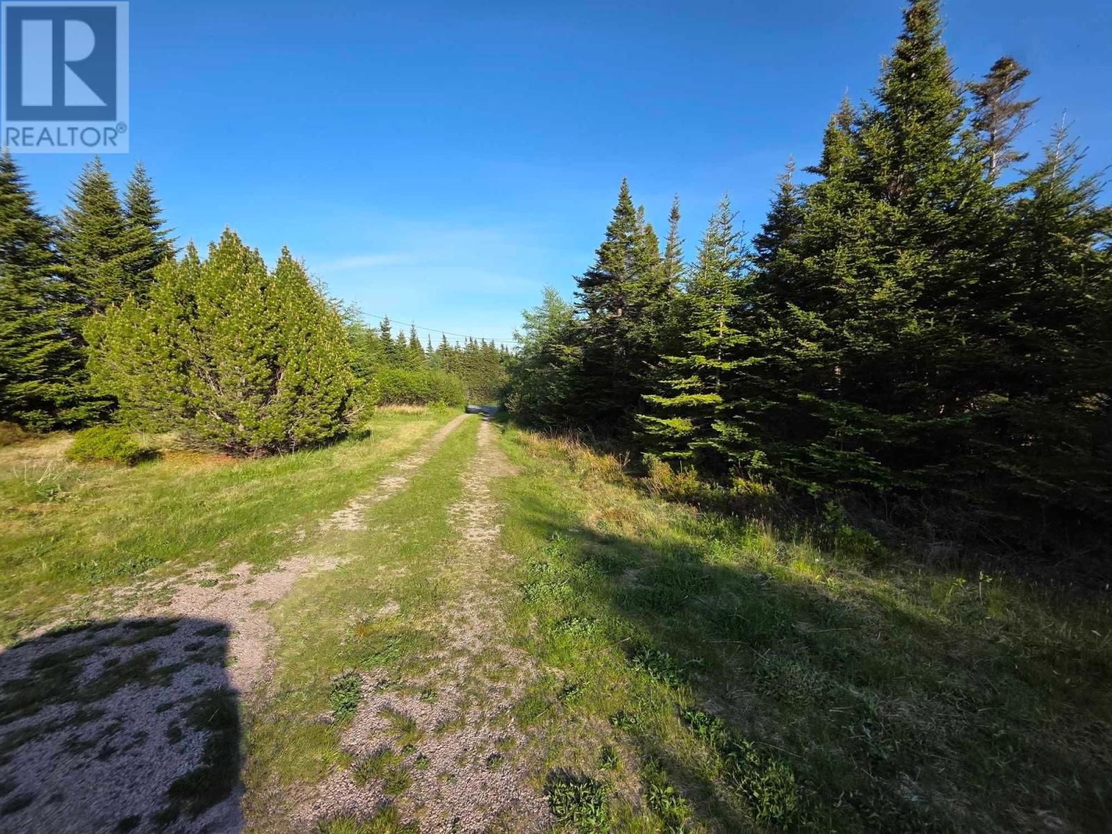 1 Main Road, North Harbour, Newfoundland & Labrador  A0B 1M0 - Photo 11 - 1292713