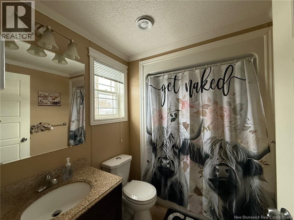 19 Carr Lane, Jacksonville, New Brunswick  E7M 0G2 - Photo 10 - NB130290