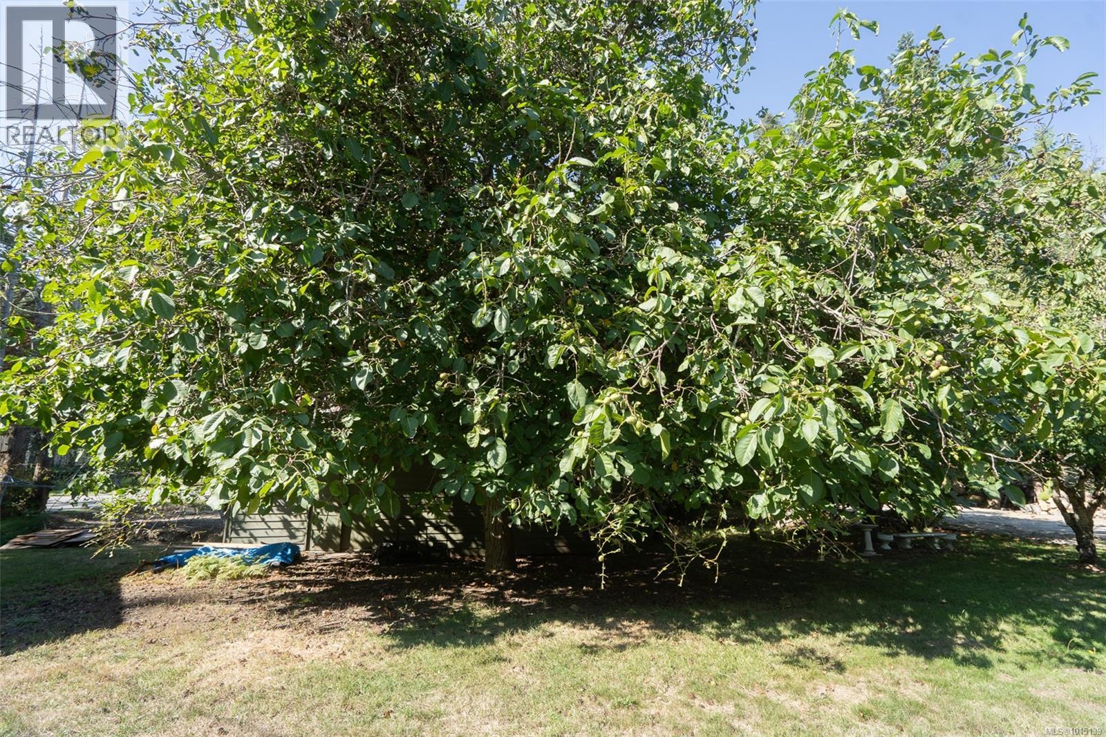 110 Ross Rd, Salt Spring, British Columbia  V8K 1N8 - Photo 21 - 1015139