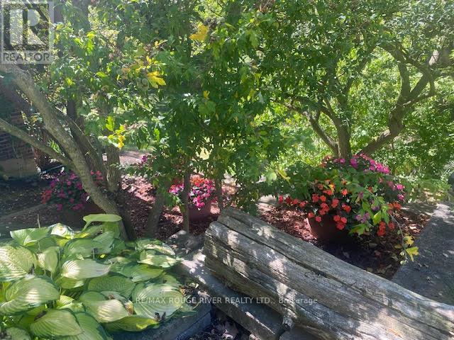 50 Dunstall Crescent, Toronto, Ontario  M1E 3M4 - Photo 48 - E12552084