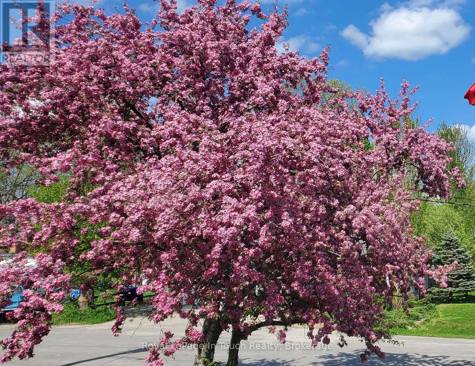 8 Cyril Martin Place, Severn (Coldwater), Ontario  L0K 1E0 - Photo 41 - S12556116