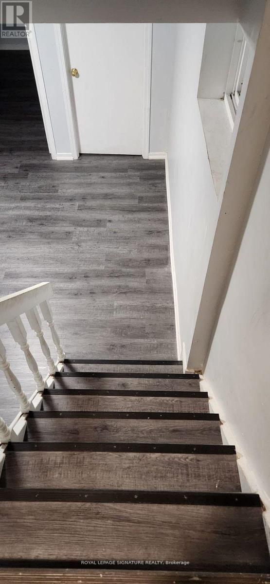 Lower - 3443 Queenston Drive, Mississauga, Ontario  L5C 2G5 - Photo 3 - W12555838