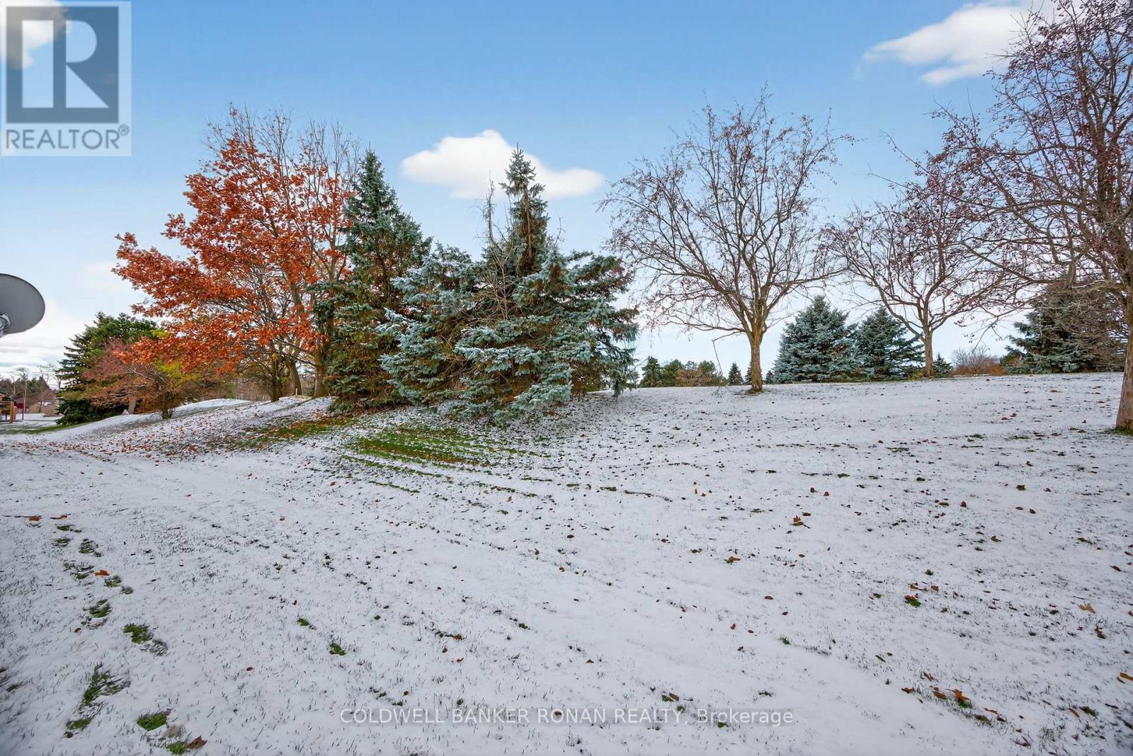 6 Via Amici, New Tecumseth, Ontario  L9R 2B4 - Photo 39 - N12556094