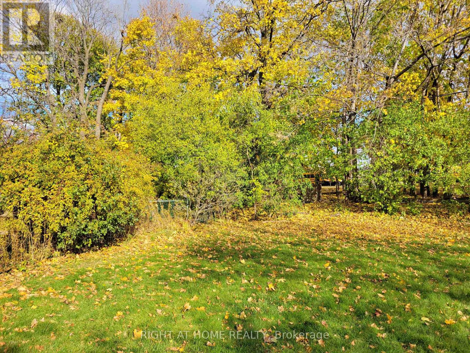 15 Blaketon Road, Toronto, Ontario  M9B 4V8 - Photo 8 - W12556068