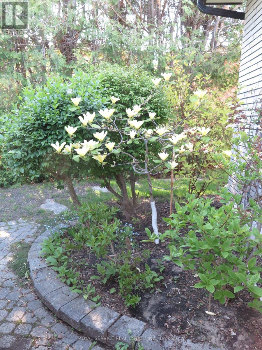 97 Centennial Drive, Port Hope, Ontario  L1A 3X3 - Photo 37 - X12551002