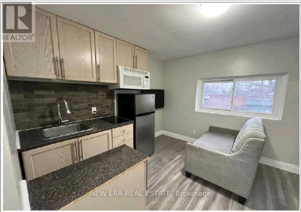 48 Carr Street, Toronto, Ontario M5T 1B7 - Photo 10 - C12556222