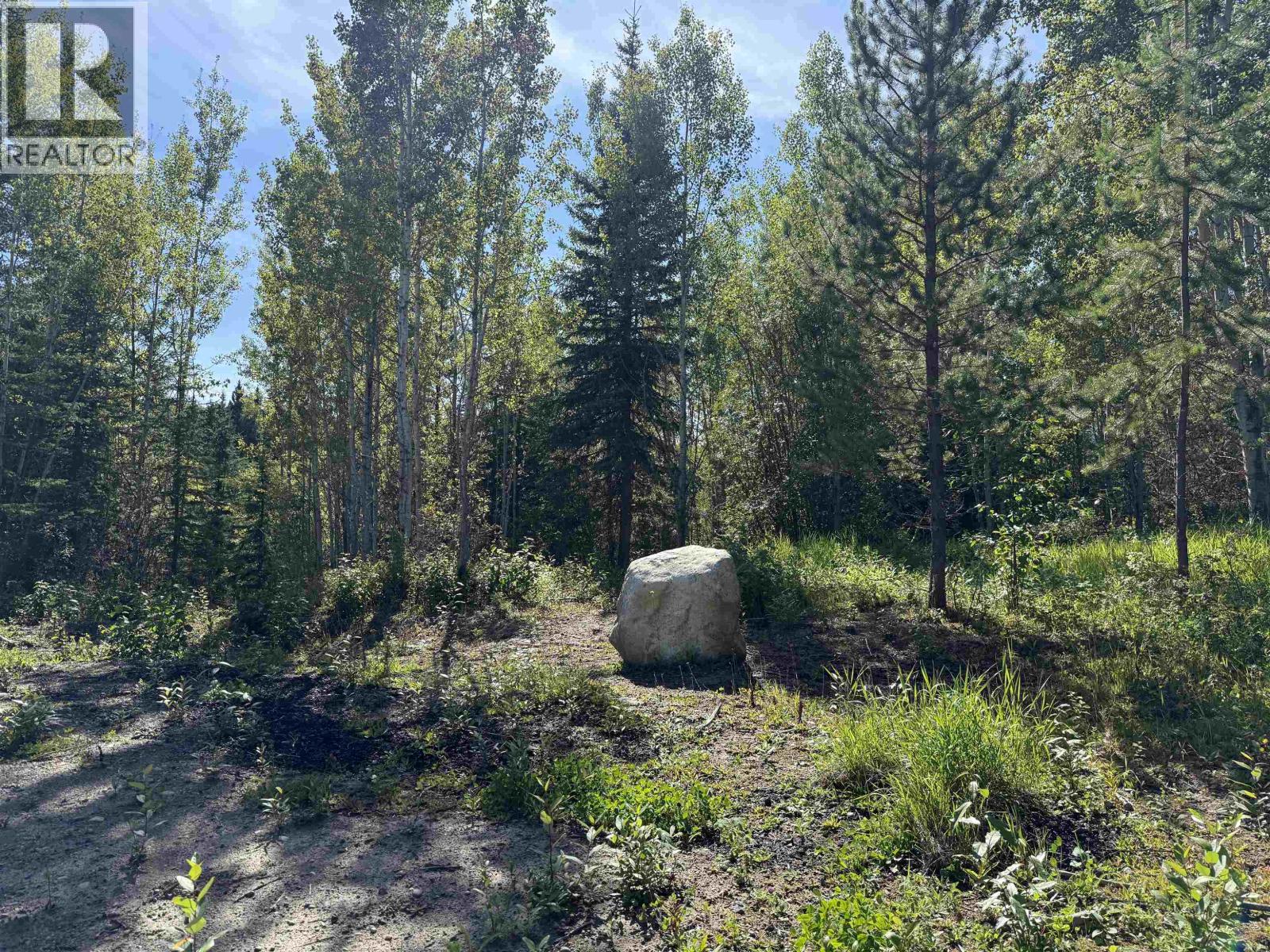 2873 Tindale Road, Quesnel, British Columbia  V2J 7E3 - Photo 38 - R3068454