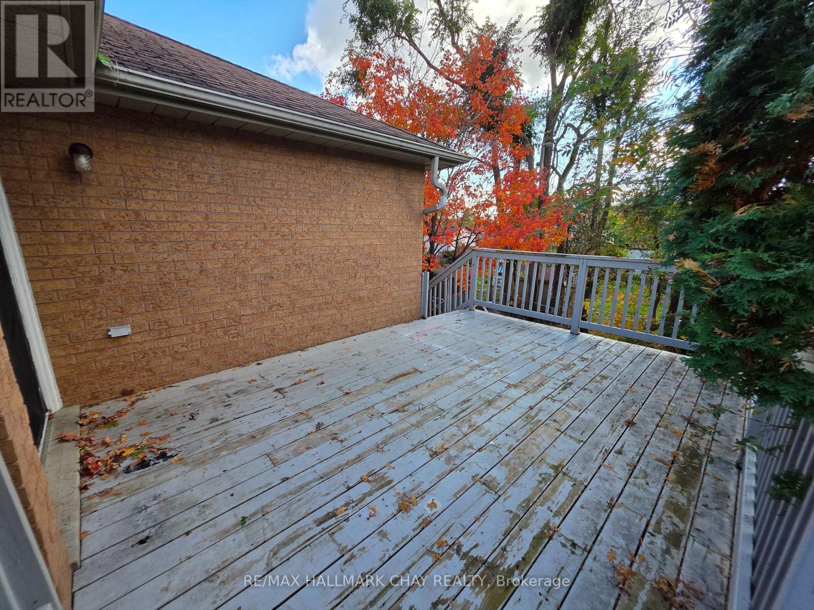 199 Livingstone Street W, Barrie (Sunnidale), Ontario  L4N 6Z9 - Photo 24 - S12556372