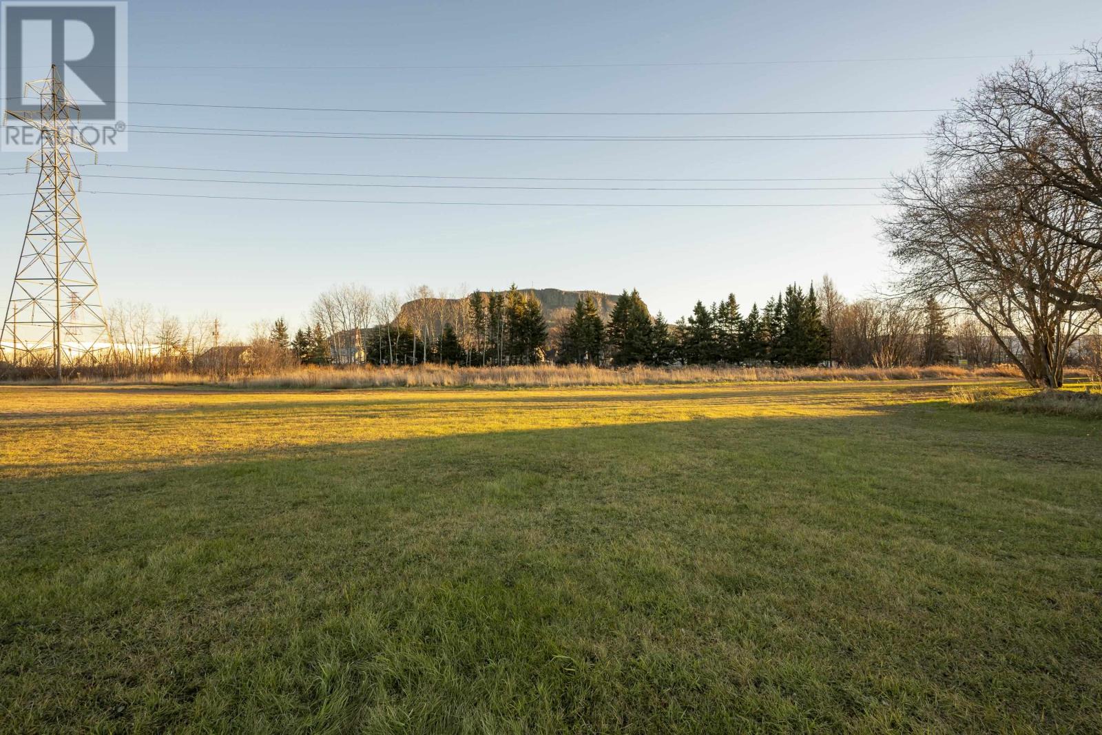 1724 Crawford Ave, Thunder Bay, Ontario  P7E 3E6 - Photo 35 - TB253507