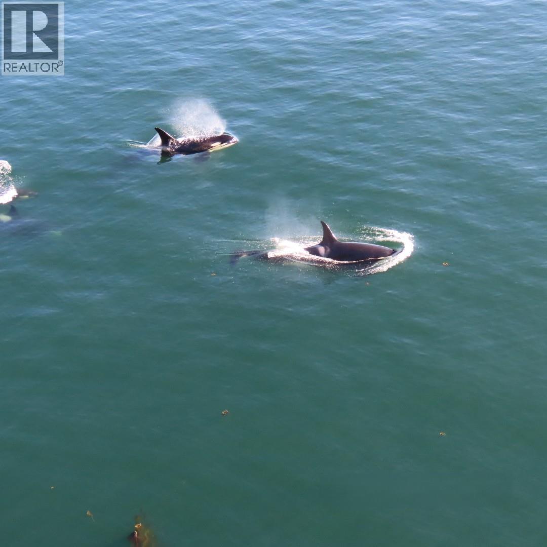 37189 Schooner Way, Pender Island, British Columbia  V0N 2M2 - Photo 2 - R3068451