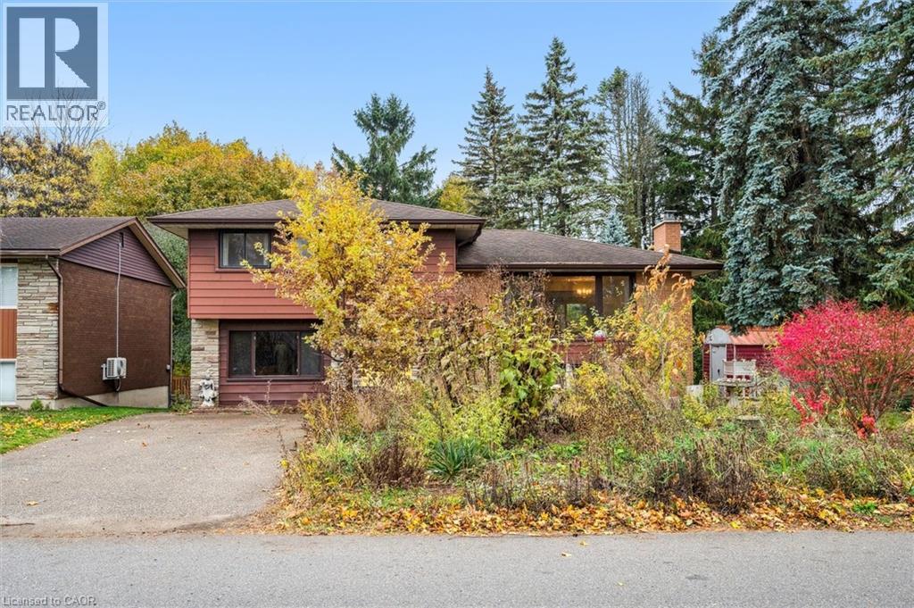 1 Marketa Crescent, Kitchener, Ontario  N2B 3B5 - Photo 2 - 40785193