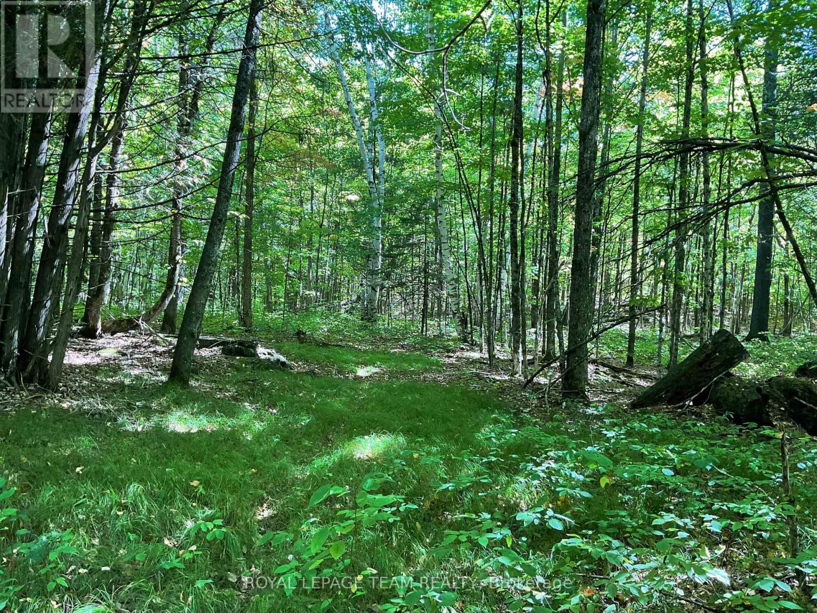 188 Con 9 Road, Lanark Highlands, Ontario K0A 1P0 - Photo 5 - X12414174