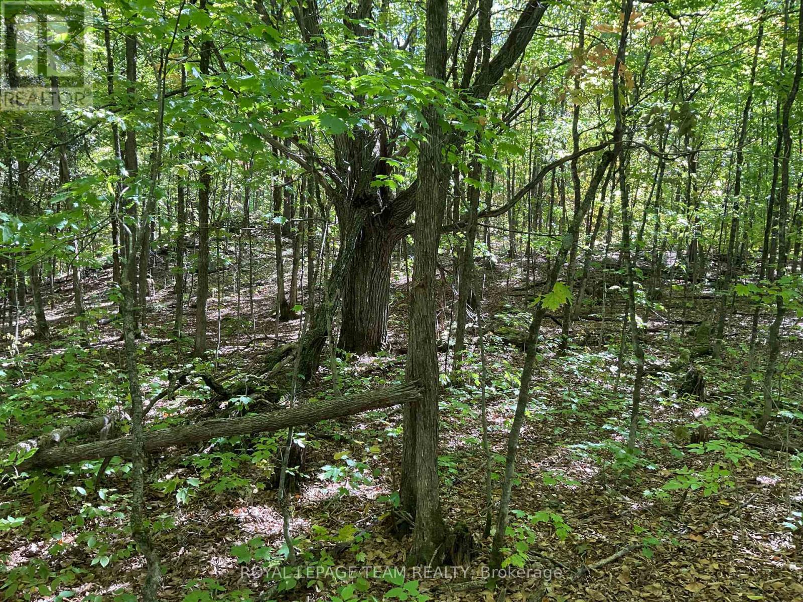 188 Con 9 Road, Lanark Highlands, Ontario K0A 1P0 - Photo 8 - X12414174