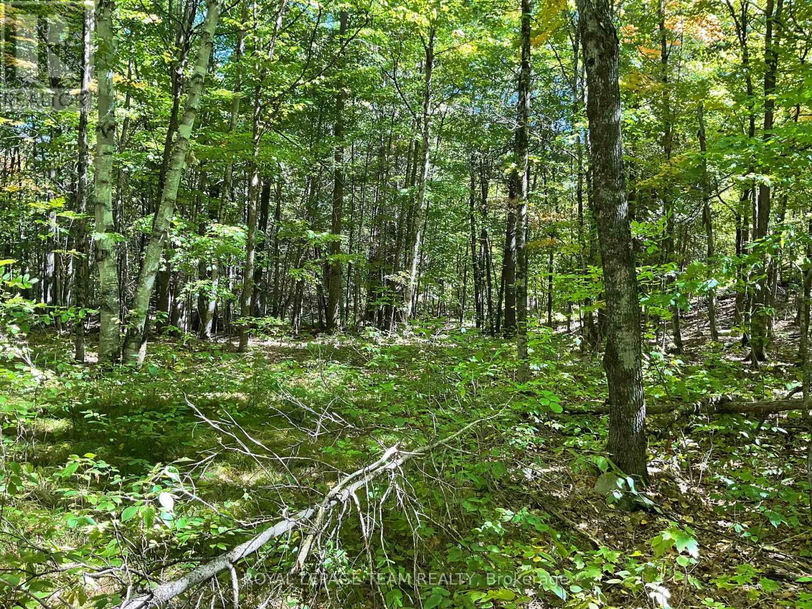 188 Con 9 Road, Lanark Highlands, Ontario K0A 1P0 - Photo 7 - X12414174