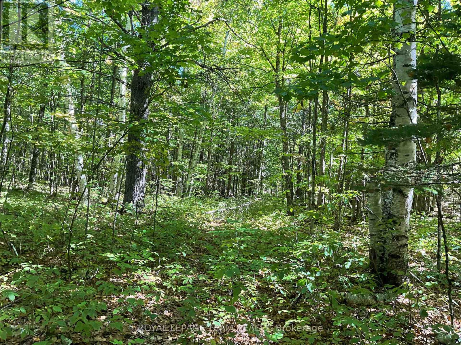 188 Con 9 Road, Lanark Highlands, Ontario K0A 1P0 - Photo 6 - X12414174