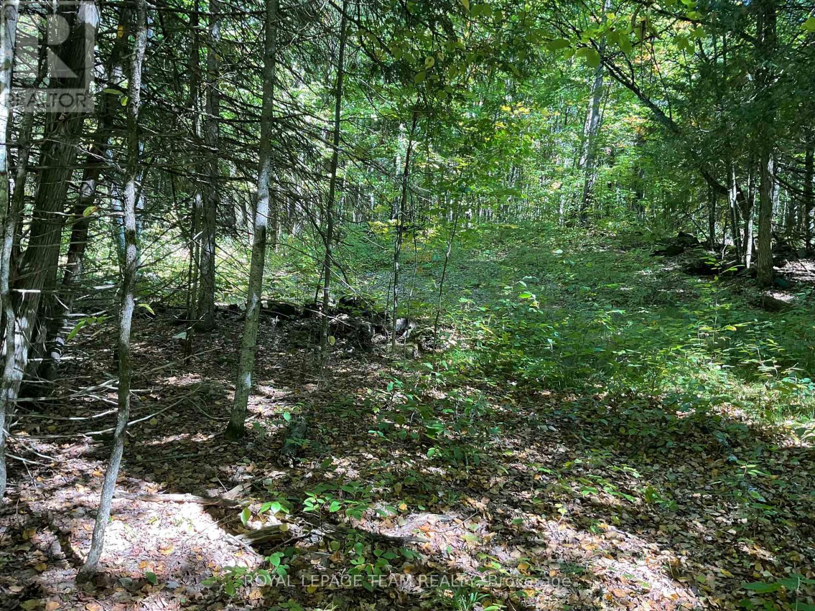 188 Con 9 Road, Lanark Highlands, Ontario K0A 1P0 - Photo 4 - X12414174