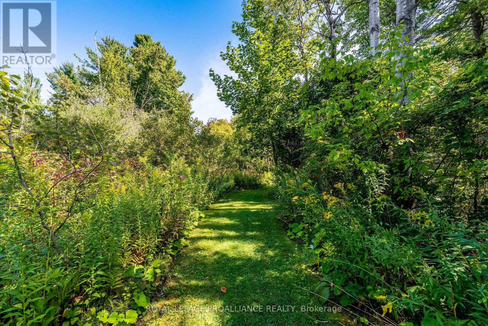 2331 Division Street N, Cobourg, Ontario  K9A 0T9 - Photo 18 - X12556670