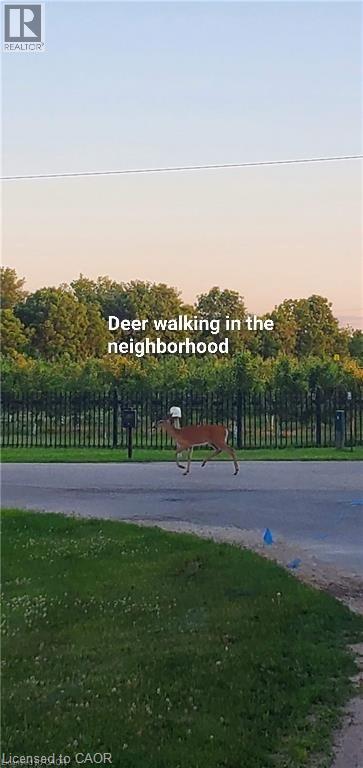 302 Grey Silo Road, Waterloo, Ontario  N2K 0C9 - Photo 47 - 40771312