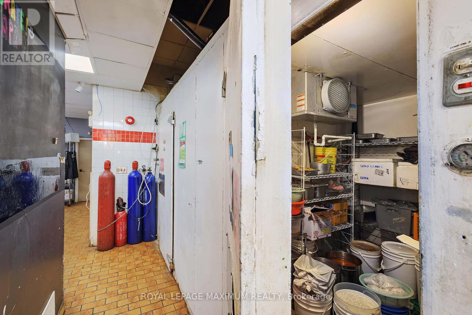 165 Hartzel Road, St. Catharines, Ontario L2P 1N6 - Photo 39 - X12556566