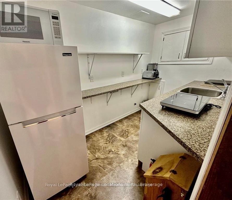 Lower - 305 Eliza Street, Meaford, Ontario  N4L 1B2 - Photo 17 - X12556630