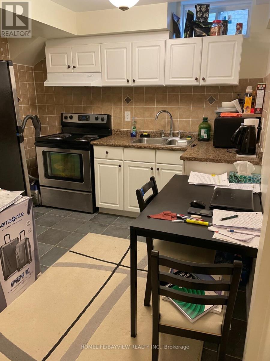 Basement - 32 Four Seasons Crescent, Newmarket, Ontario  L9N 0C3 - Photo 3 - N12556620