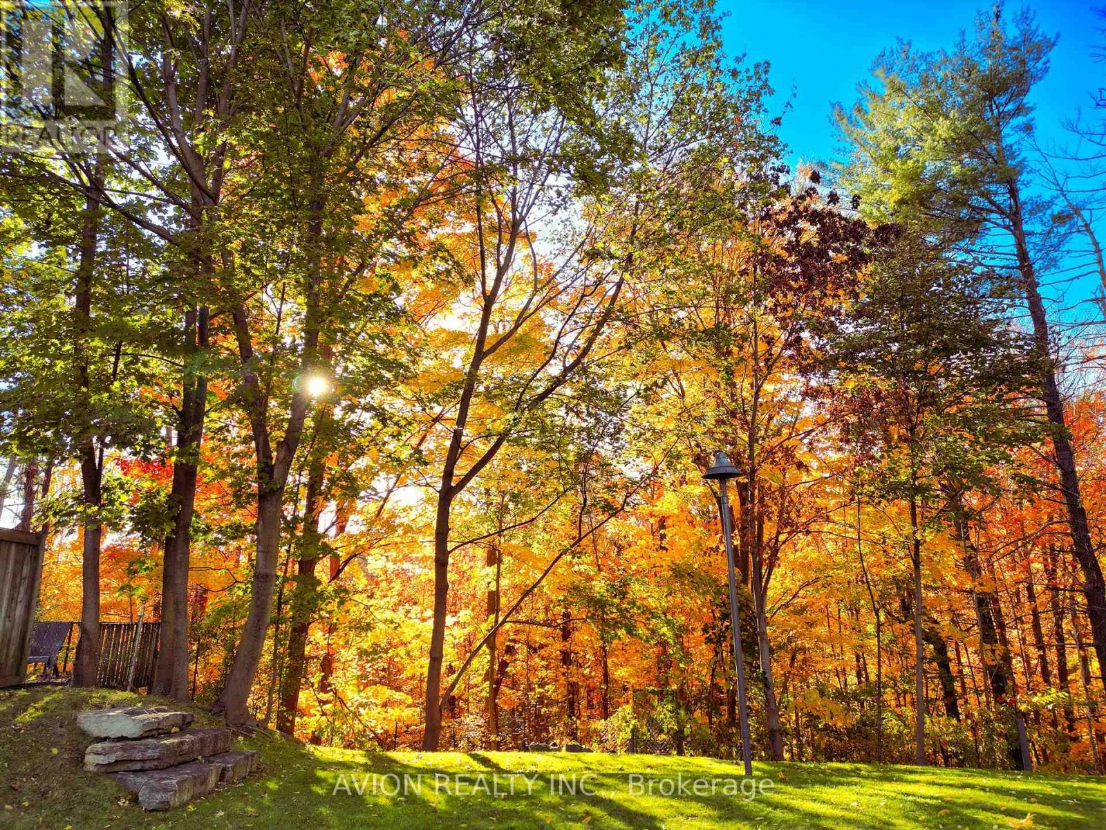 38 Purdon Drive, Toronto, Ontario  M3H 4X1 - Photo 6 - C12423540